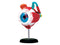 Eyeball