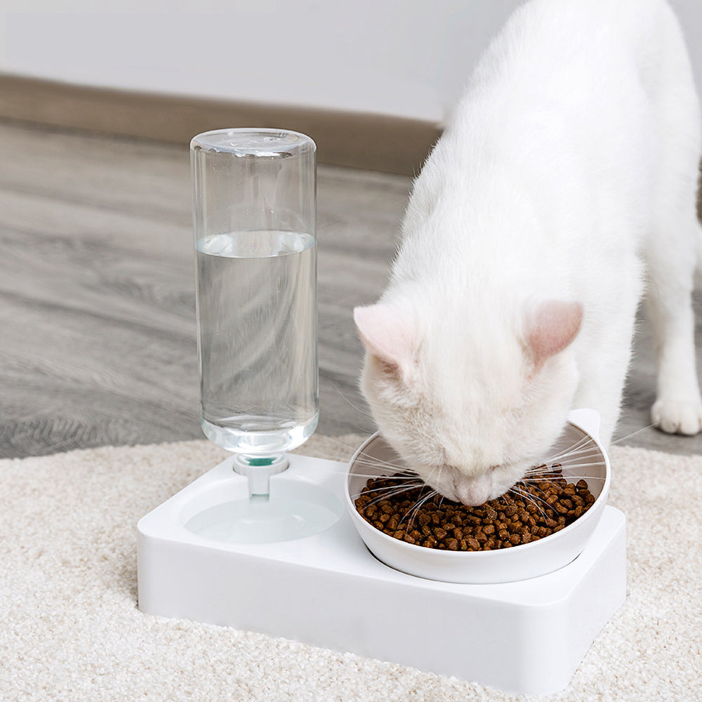 Cat and Dog Double automatic drinking bowl